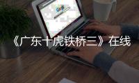 《广东十虎铁桥三》在线观看免费高清